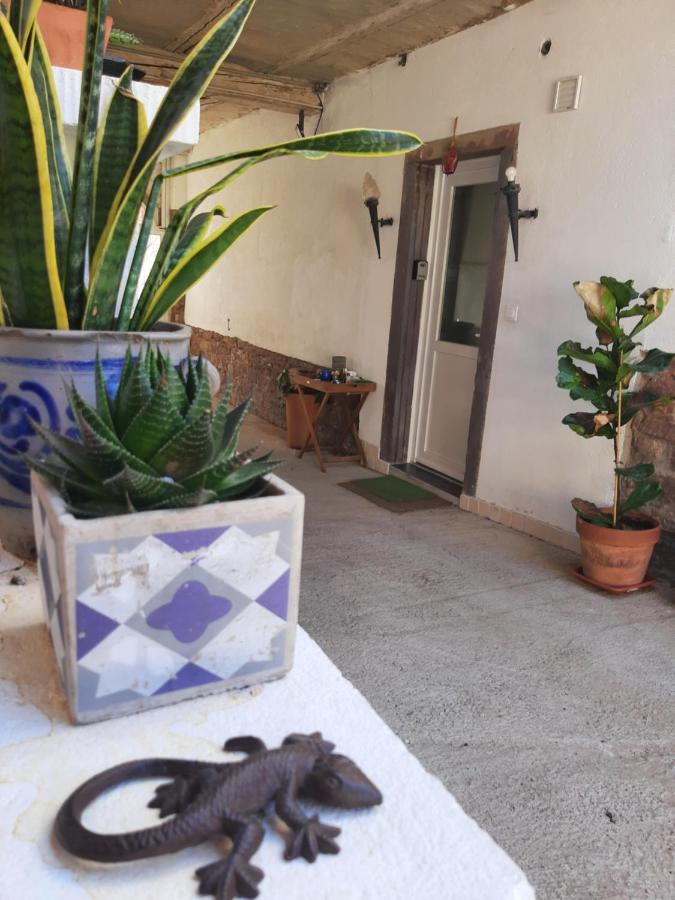 Studio Tout Confort 2 Personnes Au Coeur De L'Alsace Wolxheim ภายนอก รูปภาพ