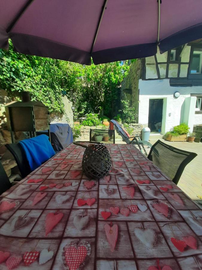 Studio Tout Confort 2 Personnes Au Coeur De L'Alsace Wolxheim ภายนอก รูปภาพ