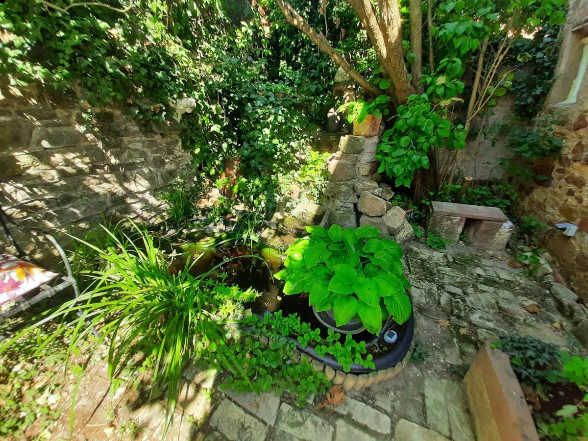 Studio Tout Confort 2 Personnes Au Coeur De L'Alsace Wolxheim ภายนอก รูปภาพ