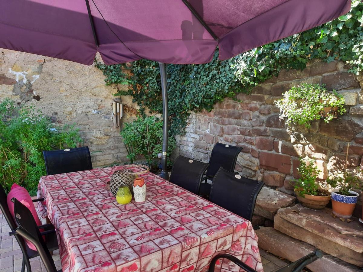 Studio Tout Confort 2 Personnes Au Coeur De L'Alsace Wolxheim ภายนอก รูปภาพ