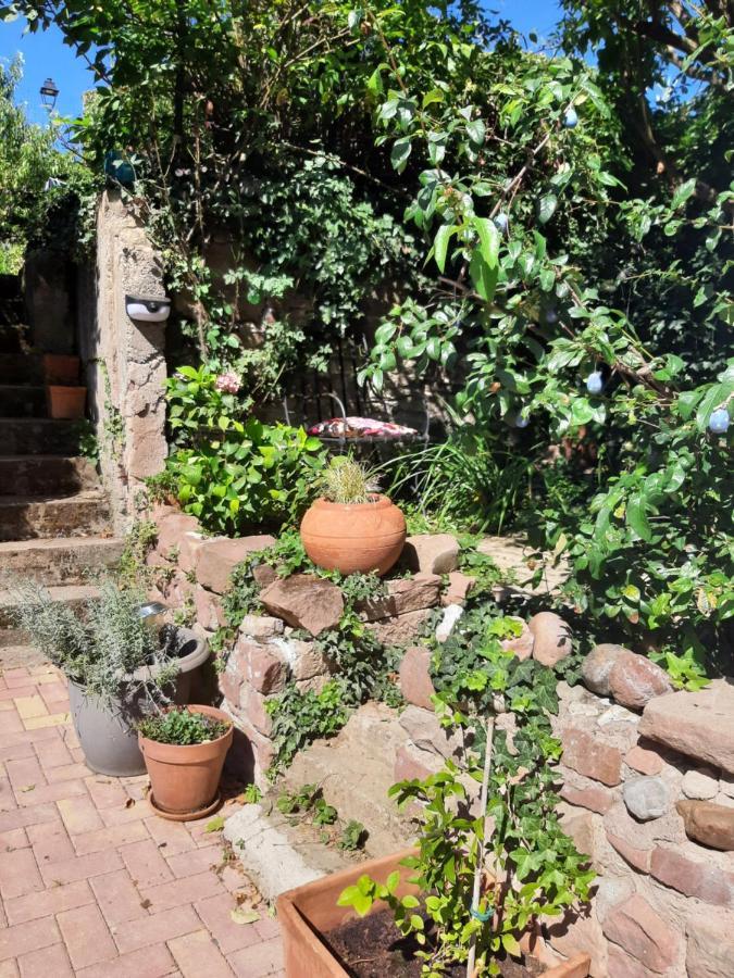 Studio Tout Confort 2 Personnes Au Coeur De L'Alsace Wolxheim ภายนอก รูปภาพ
