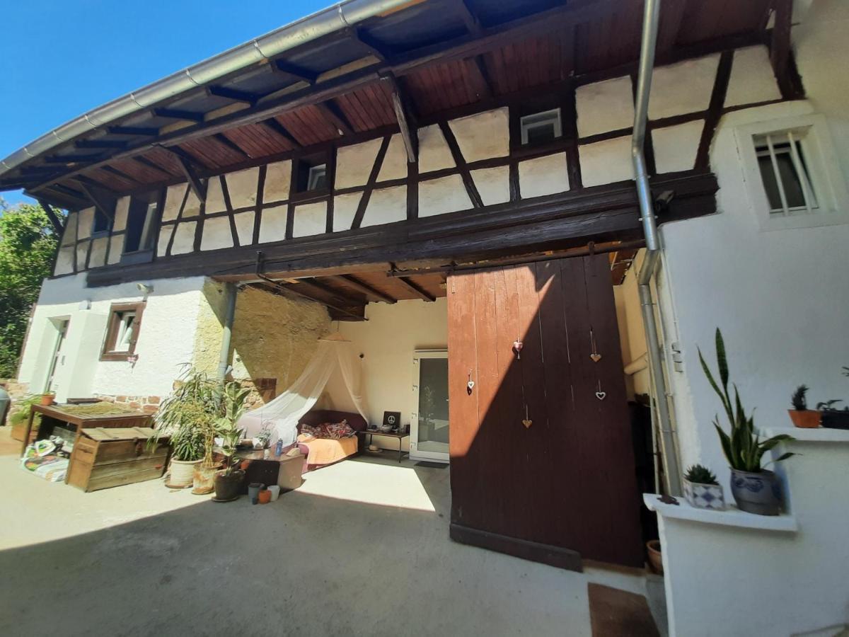 Studio Tout Confort 2 Personnes Au Coeur De L'Alsace Wolxheim ภายนอก รูปภาพ