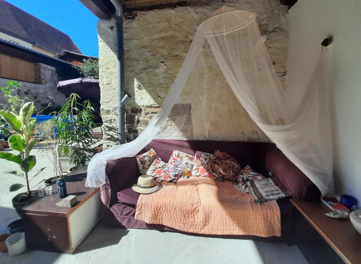 Studio Tout Confort 2 Personnes Au Coeur De L'Alsace Wolxheim ภายนอก รูปภาพ