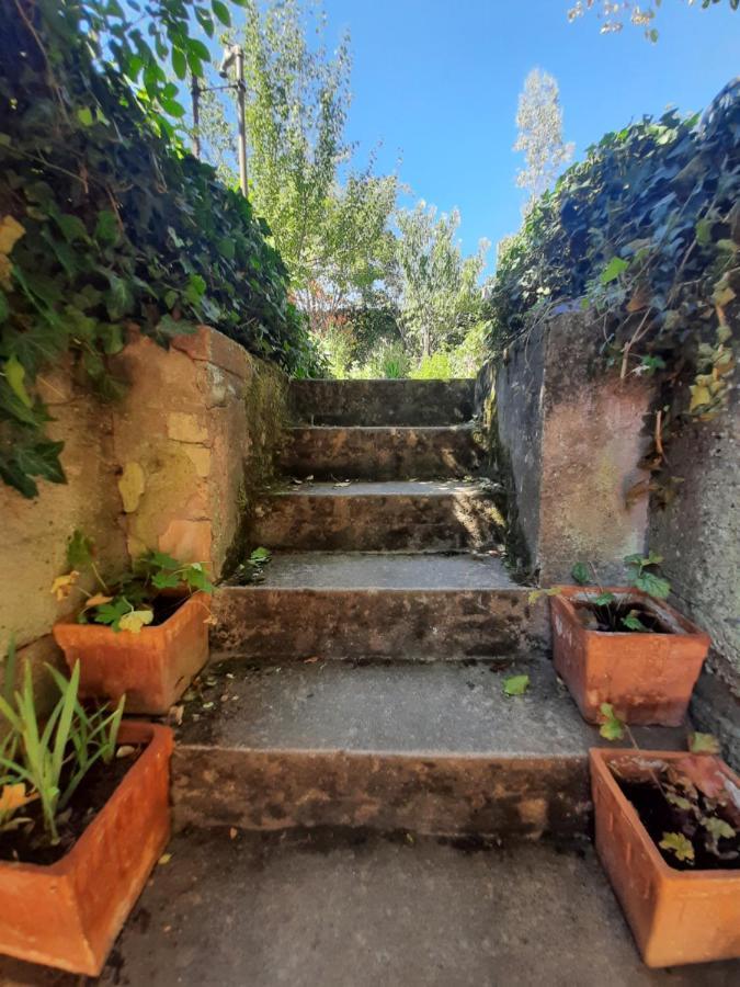 Studio Tout Confort 2 Personnes Au Coeur De L'Alsace Wolxheim ภายนอก รูปภาพ