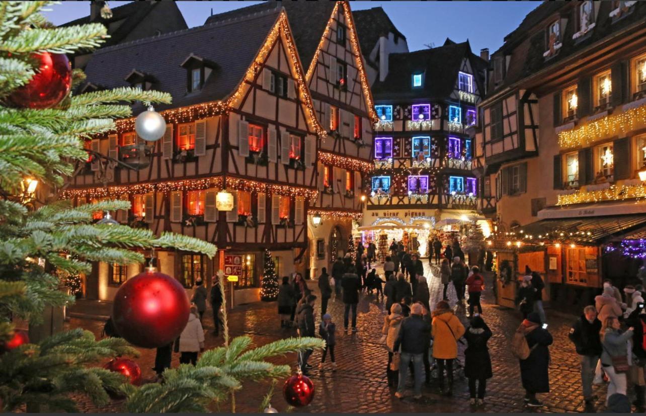 Studio Tout Confort 2 Personnes Au Coeur De L'Alsace Wolxheim ภายนอก รูปภาพ