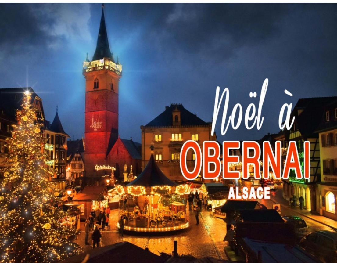 Studio Tout Confort 2 Personnes Au Coeur De L'Alsace Wolxheim ภายนอก รูปภาพ