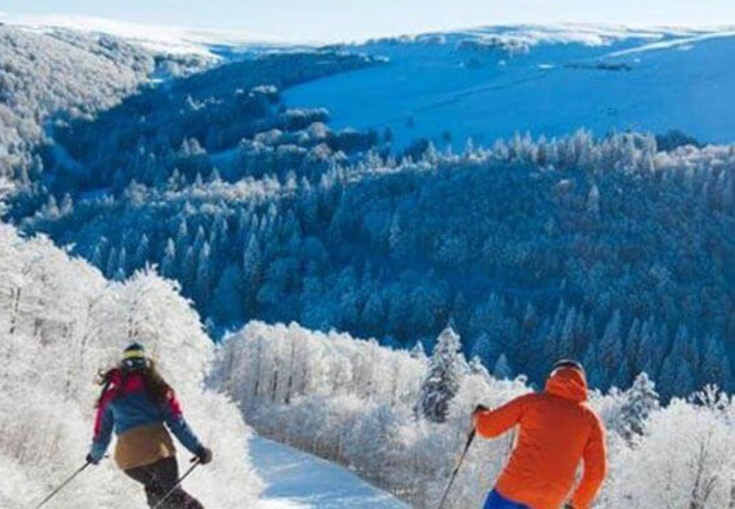Studio Tout Confort 2 Personnes Au Coeur De L'Alsace Wolxheim ภายนอก รูปภาพ