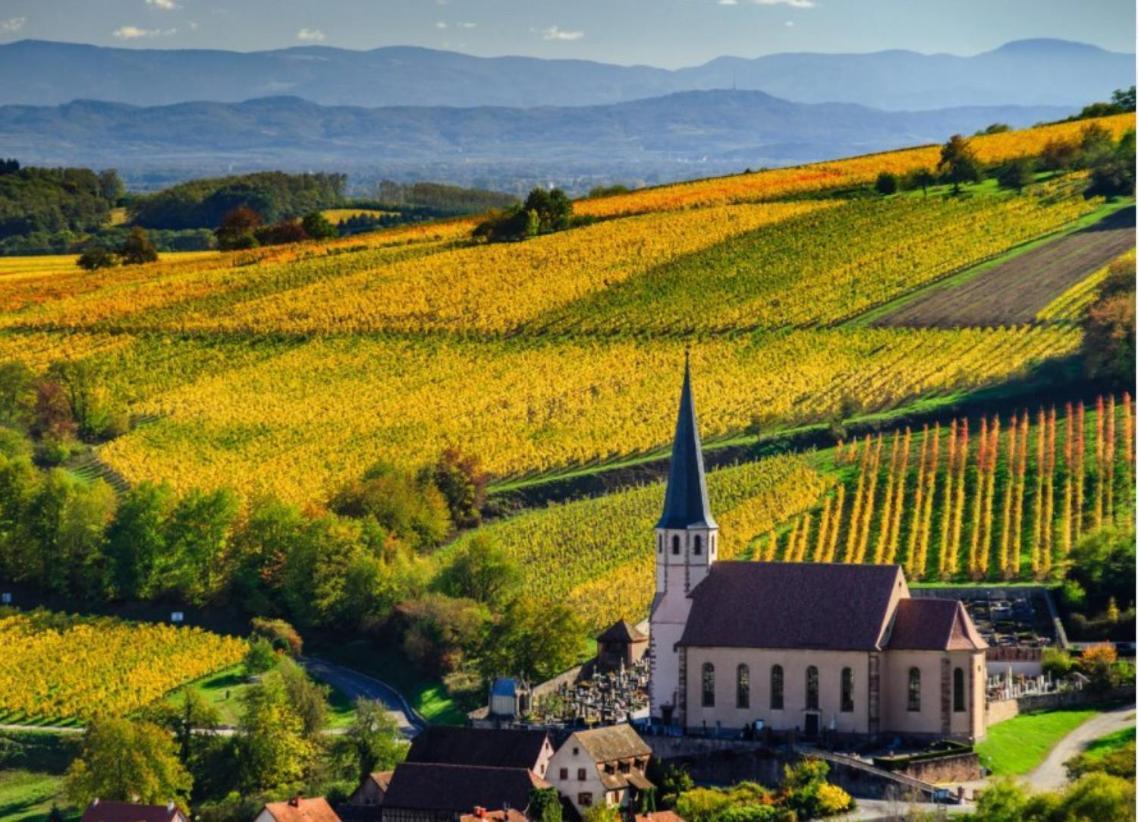Studio Tout Confort 2 Personnes Au Coeur De L'Alsace Wolxheim ภายนอก รูปภาพ